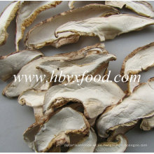 Rebanada seta blanca orgánica de la seta del casquillo de la seta de Shiitake